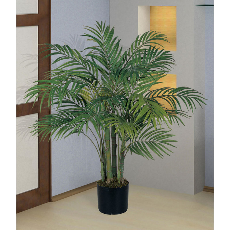 Beachcrest Home Artificial Palm Tree in Pot & Reviews Wayfair